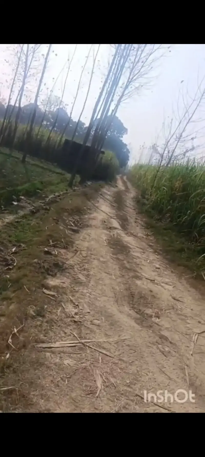 Agriculture land in Saharanpur  Interior View -  in Nangal, Saharanpur 