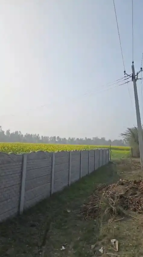 AGRICULTURE LAND IN GARHMUKTESHWAR, BEST FOR FARMHOUSES Interior View - Polyhouse<br>Agriculture in GARH, BIJORA
