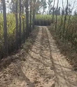 Prime 150 Bigha Farm Land Near Uttam Sugar Mill Najibabad | Mandaver Road, Bijnor