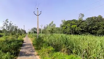 100 Bigha Agriculture Land for Sale on Sikri Road Near Tugalpur Kameda, Muzaffarnagar Sadar Tehsil