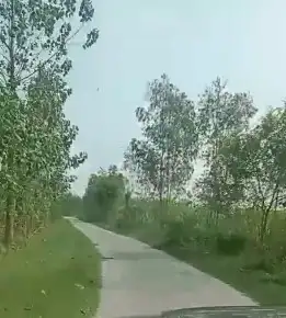 Prime Location Agriculture land in Bijnore ,800 bigha