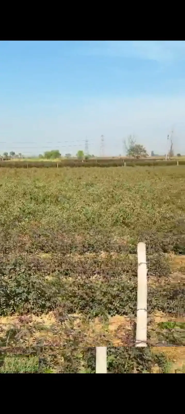 BUY AGRICULTURE LAND IN HAPUR