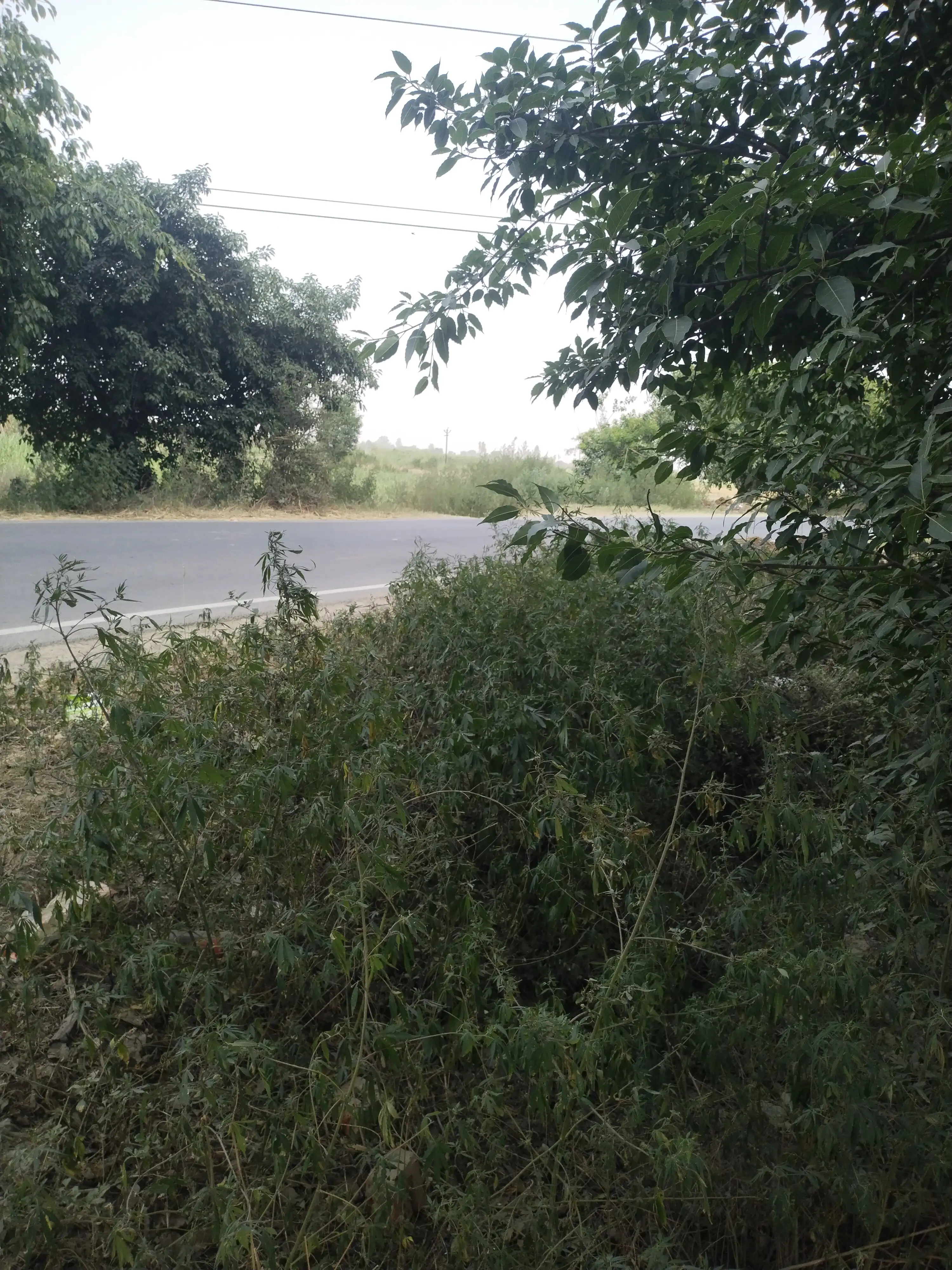 Buy Property in Baghpat - The Next Investment Hub