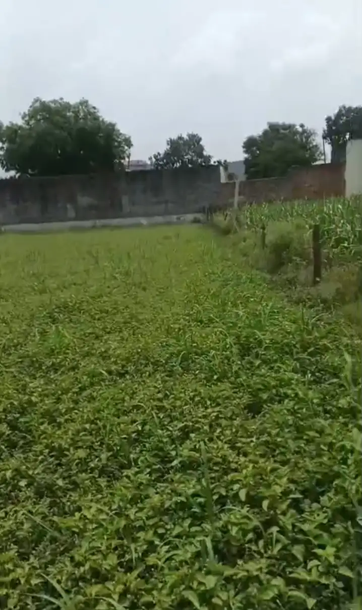 Agriculture land in Baghpat