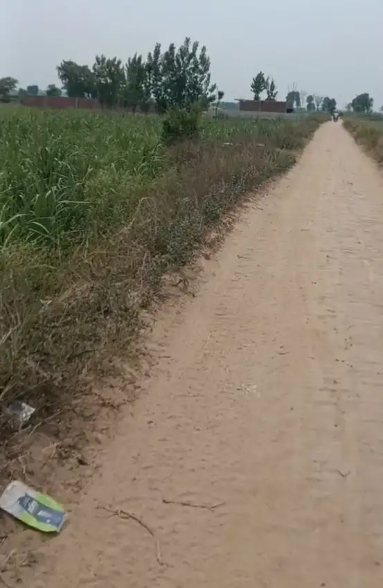 Best agriculture land in Baghpat