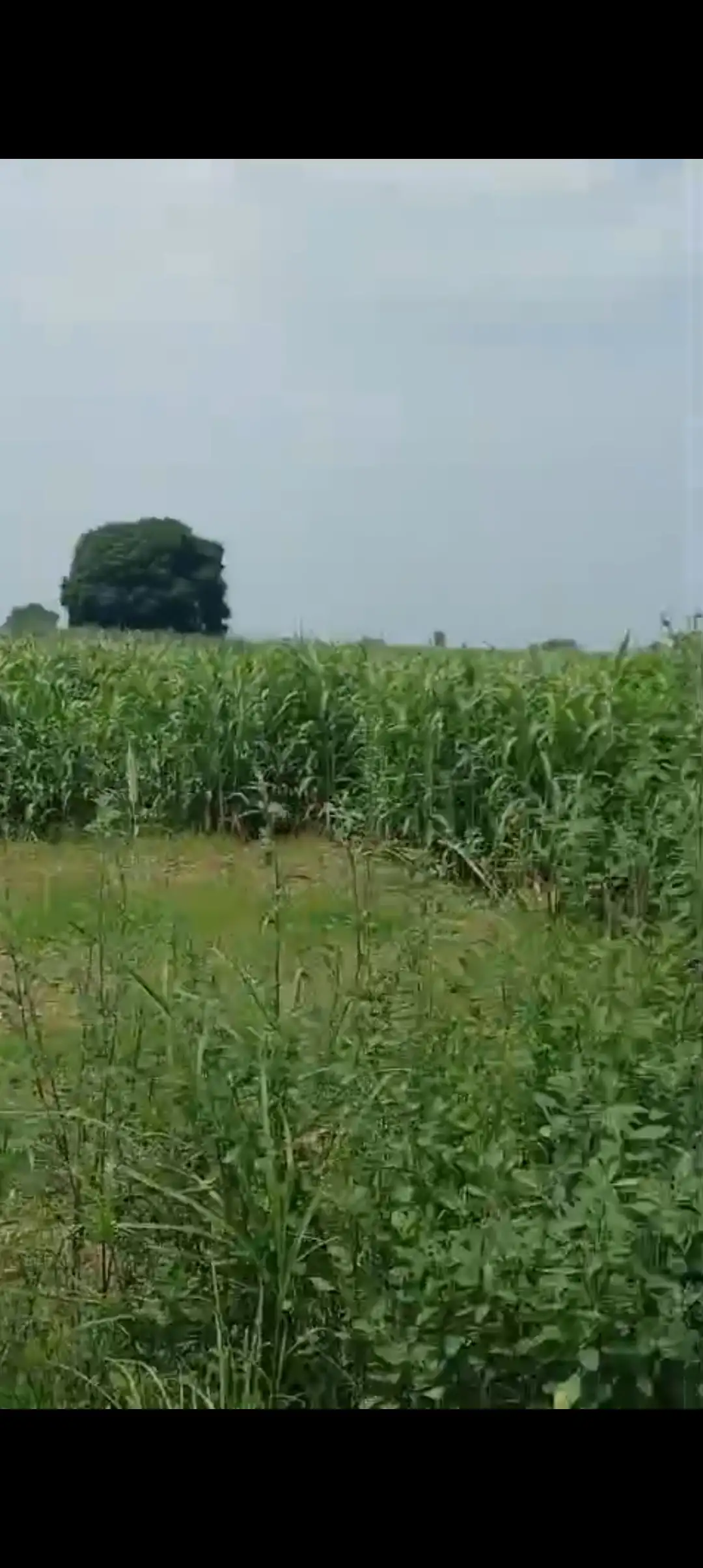 Highway Plot for Sale in Baghpat – Prime Location & Investment Opportunity