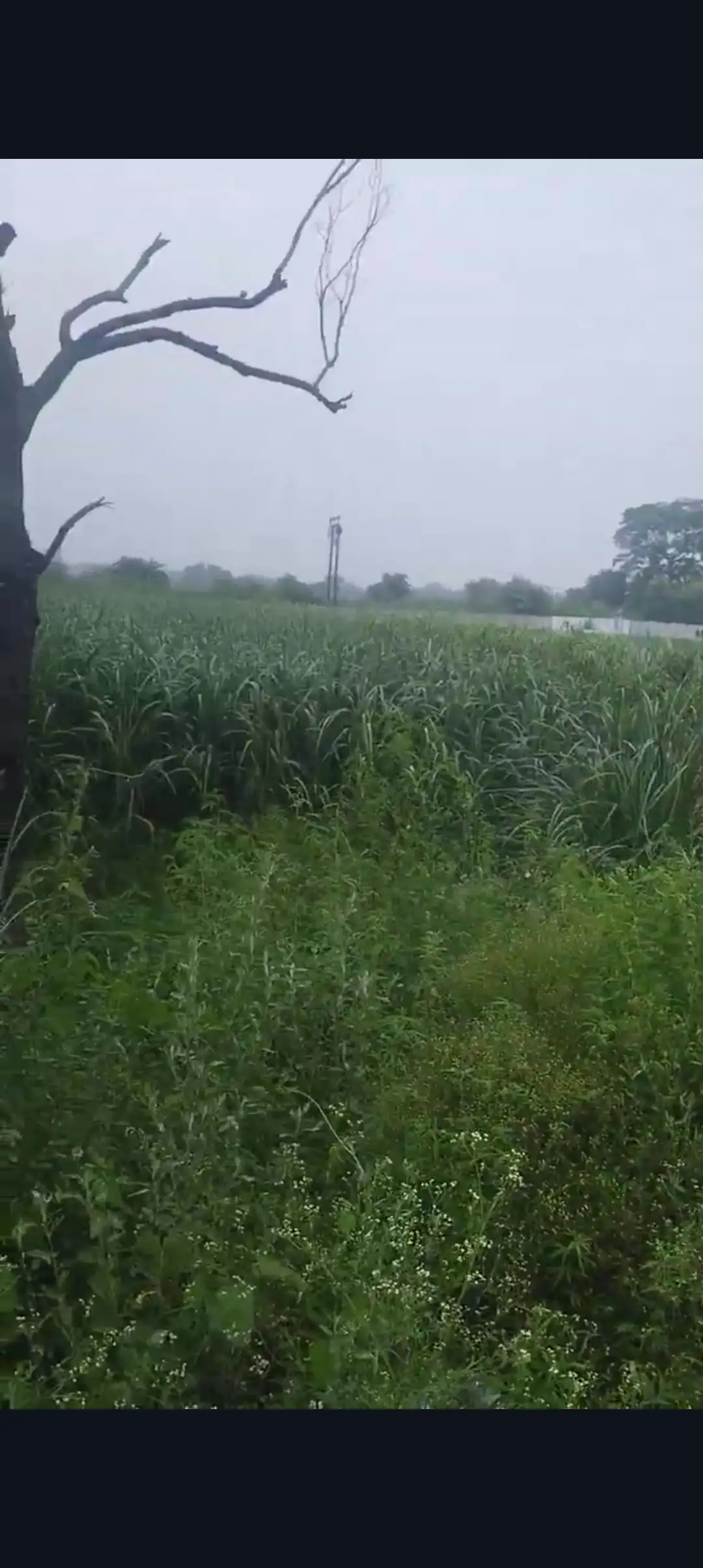 PRIME HIGHWAY PLOT FOR SALE IN BAGHPAT, PRIME LOCATION PROPERTY