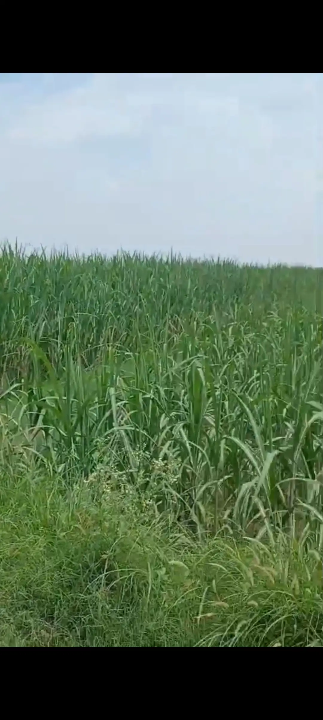 Premium Industrial Land in Baghpat for Sale | Prime Location for Investment